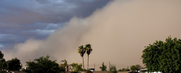 Cleaning Up Your Pool After A Haboob